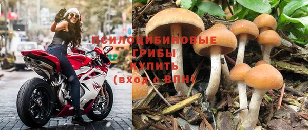 бошки Гусев