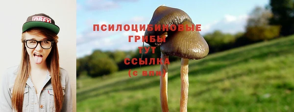меф VHQ Гусиноозёрск