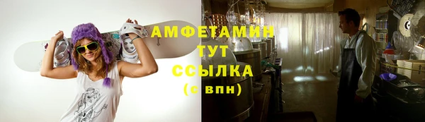 спайс Гусь-Хрустальный