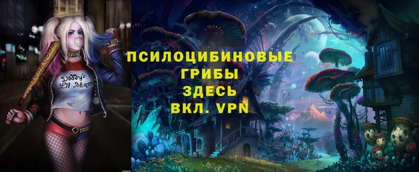 бошки Гусев