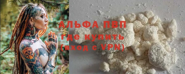 спайс Гусь-Хрустальный
