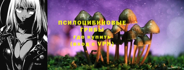 бошки Гусев