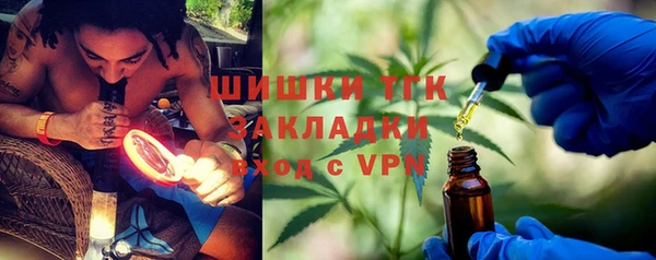 спайс Гусь-Хрустальный