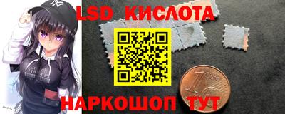 тгк Бийск