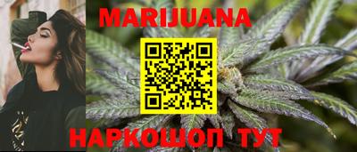 тгк Бийск
