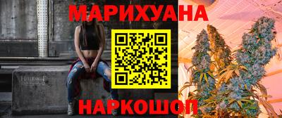 тгк Бийск