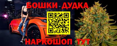 тгк Бийск