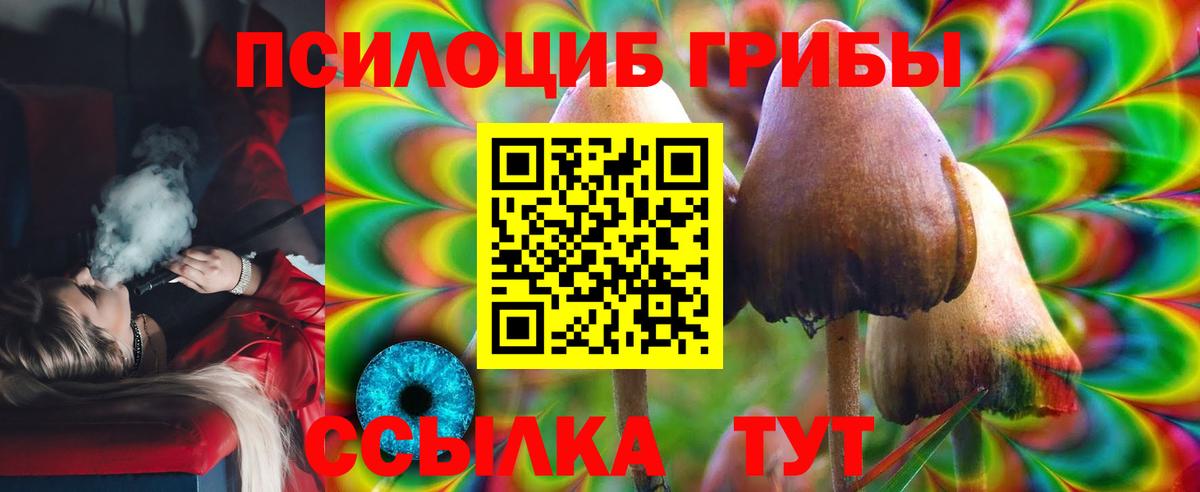 Псилоцибиновые грибы мухоморы  Вольск 