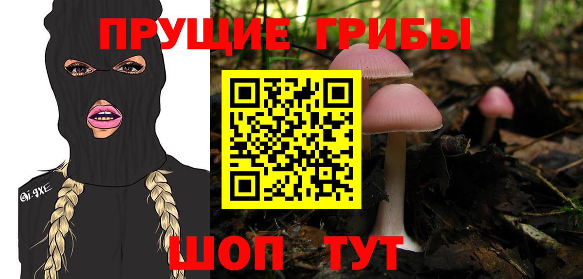 Псилоцибиновые грибы мицелий Вольск